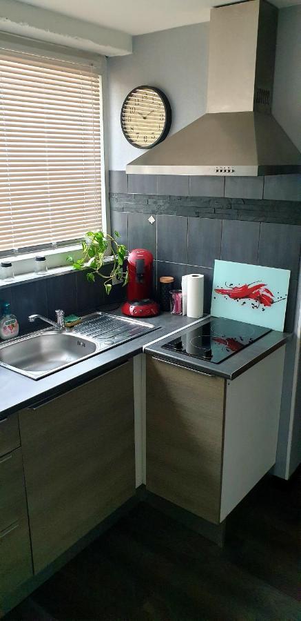 Plaisir Extreme Apartamento Roanne Exterior foto